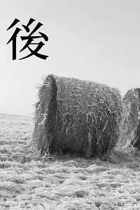 After (2009) poster