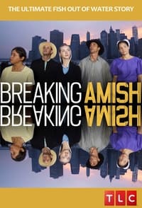 copertina serie tv Breaking+Amish 2012