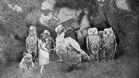 «Алиса в Стране чудес (1915)» — обои к фильму #1