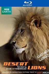 Poster de Natural World: Desert Lions