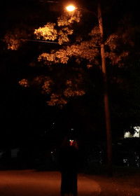 Imagem do Filme Into The Shadows