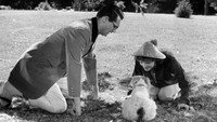 Обои к фильму «Воспитание Крошки (1938)» — (15 из 85)