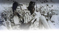 «Подглядывающие (1972)» — обои к фильму #1