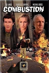 Combustion (2004)