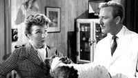 «In the Doghouse (1961)» — обои к фильму #1