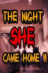Poster de The Night She Came Home!!