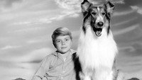 «Лэсси (1954 - 1974)» — обои к сериалу #2