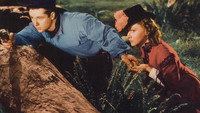 «The Law West of Tombstone (1938)» — обои к фильму #1