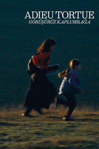Poster de Bye Bye Turtle