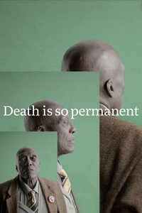 Death is so permanent (2018) poster