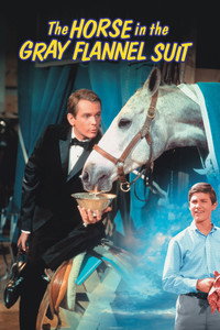 Постер фильма «Лошадь во фланелевом сером костюме (1968)» — (7 из 28)