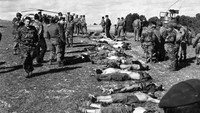 «Les Massacres de Sétif, un certain 8 mai 1945 (2003)» — обои к фильму #3