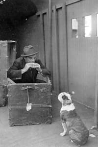 The Dog in the Baggage Car (1913)