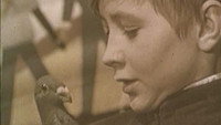 «Мальчик и голубь (1961)» — обои к фильму #1