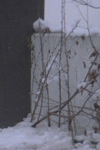 Постер фильма «Любовное письмо (1995)» — (11 из 27)