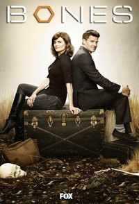 Постер сериала «Кости (2005 - 2017)» — (68 из 181)