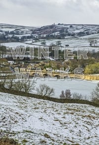 copertina serie tv Winter+Walks 2021