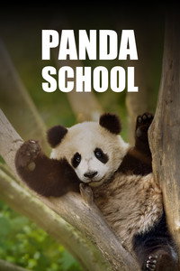 Panda School