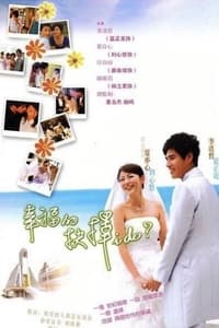 幸福的抉择 (2008)