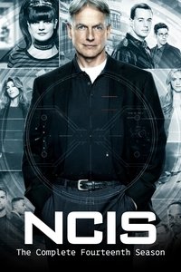 Season 14 Poster