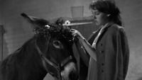 «Наудачу, Бальтазар (1966)» — обои к фильму #8