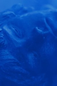 Azul no Azul Poster