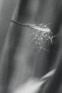 Humedal (2023) poster
