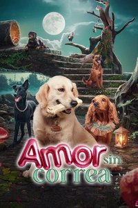 Poster de Amor sin correa