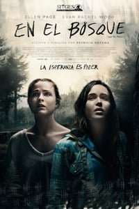 Poster de Into the Forest