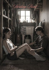 Постер сериала «Стерлинг-Поинт (2026)» — (33 из 83)