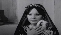 Обои к фильму «Немного страха (1969)» — (17 из 31)