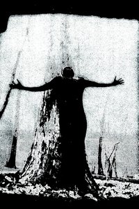 Poster de IIsandra In Ruin