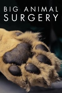 Big Animal Surgery (2019)