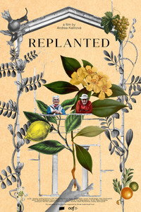 Replanted