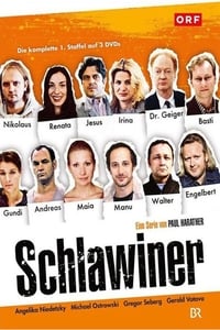 copertina serie tv Schlawiner 2011