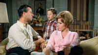 «Please Don't Eat the Daisies (1965-1967)» — обои к сериалу #1