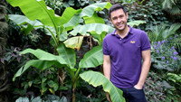 Lawns and Tropical Gardens