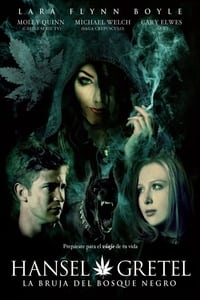 Poster de Hansel y Gretel: La bruja del Bosque Negro