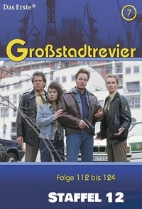 Season 12 Poster