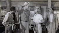 «Bahama Passage (1941)» — обои к фильму #1