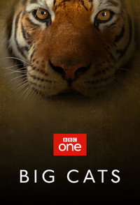 Постер сериала «Большие кошки (2018)» — (3 из 8)