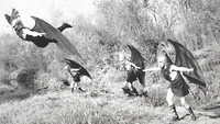 «Темная Африка (1936)» — обои к фильму #1