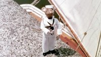 Stuart Little