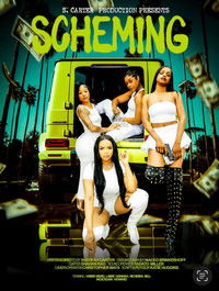 Poster de Scheming
