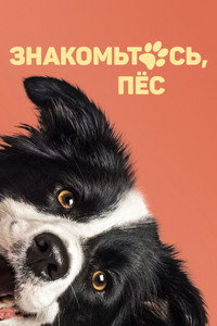 Постер фильма «Знакомьтесь, пёс (2022)» — (2 из 7)