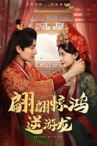 翩翩惊鸿逆游龙 Poster