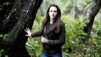 Twilight - Chapitre 2 : Tentation