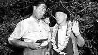 «Ma and Pa Kettle at Waikiki (1953)» — обои к фильму #1