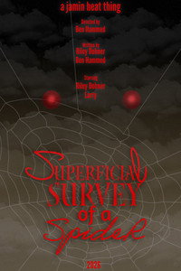 Superficial Survey of a Spider