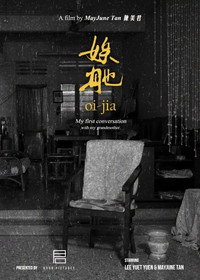 娭毑 (2026) poster